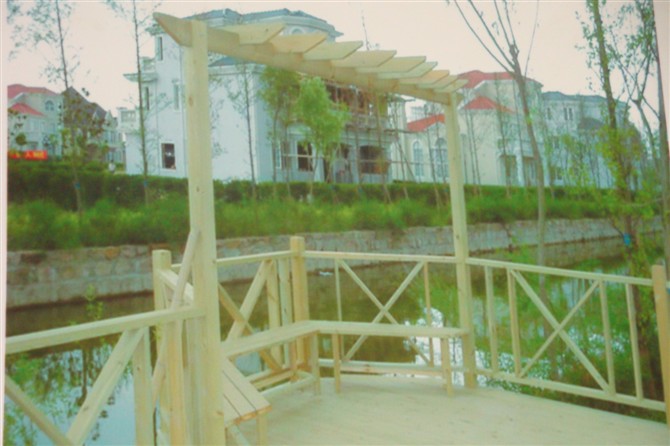 ����ľ�ӱ߻���